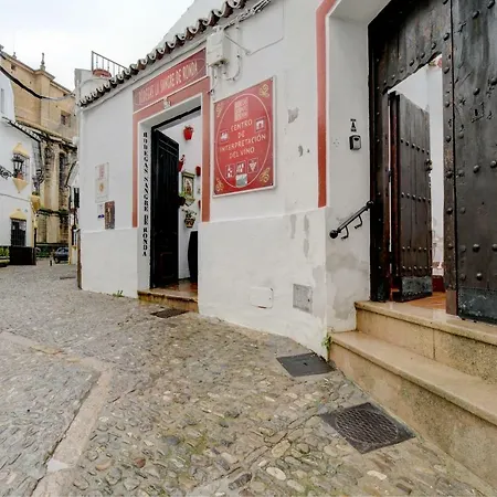 Museo B Casco Historico Apartment *